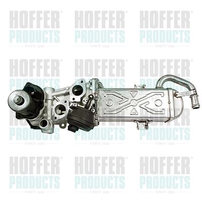 EGR Valve HOFFER 7518259R