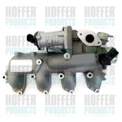 EGR Valve HOFFER 7518289