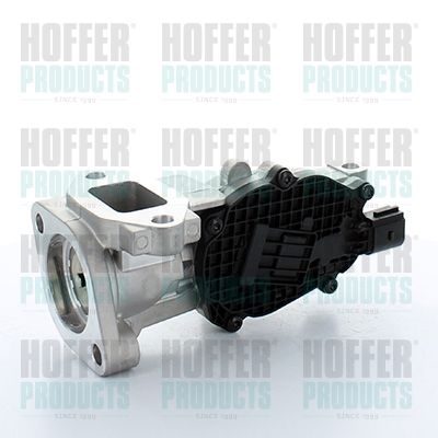 EGR Valve HOFFER 7518297