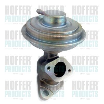 EGR Valve HOFFER 7518313