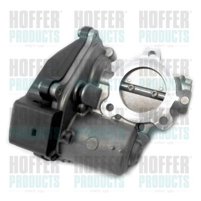 EGR Valve HOFFER 7518330