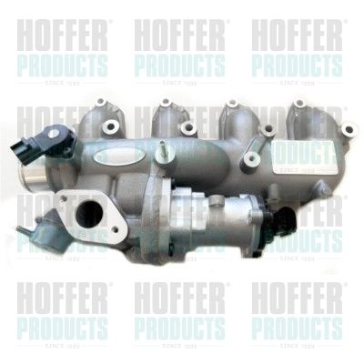 EGR Valve HOFFER 7518353