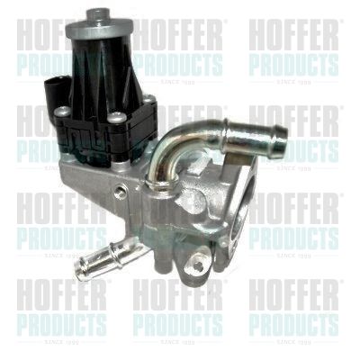 EGR Valve HOFFER 7518428