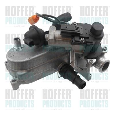 EGR Valve HOFFER 7518468