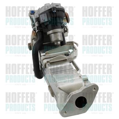 EGR Module HOFFER 7518801R