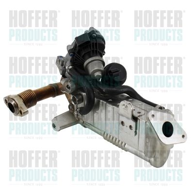 HOFFER 7518802R EGR Module