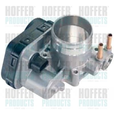 Throttle Body HOFFER 7519028