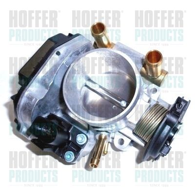 Throttle Body HOFFER 7519186