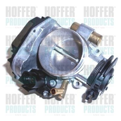 Throttle Body HOFFER 7519188