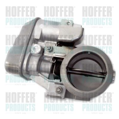 Exhaust Gas Door HOFFER 7519274