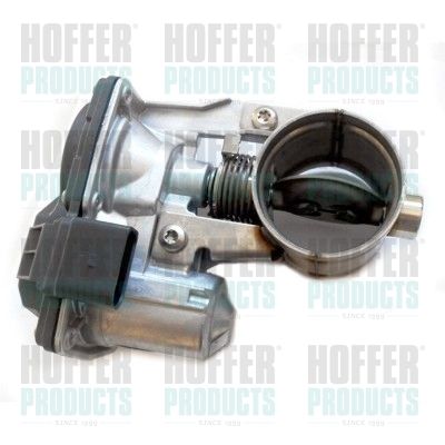 Exhaust Gas Door HOFFER 7519294