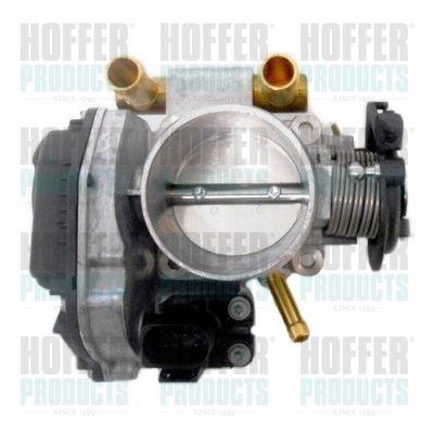 Throttle Body HOFFER 7519305