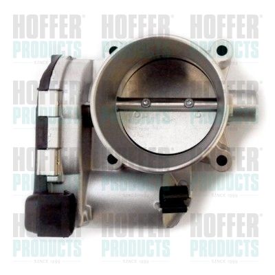 Throttle Body HOFFER 7519309