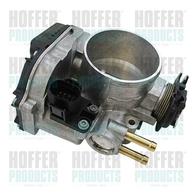 Throttle Body HOFFER 7519351