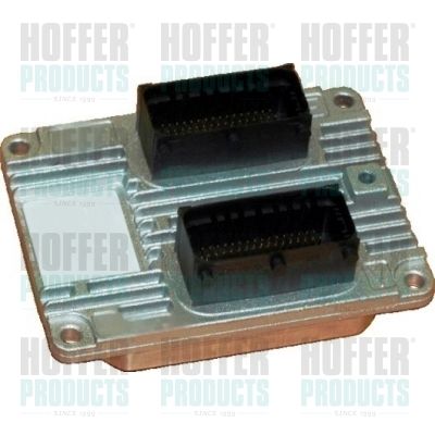 HOFFER 7540013 Control Unit, engine management