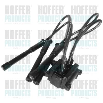 HOFFER 8010420 Ignition Coil