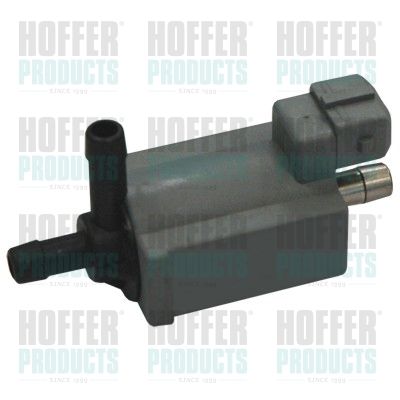 Control Valve, air intake HOFFER 8029098