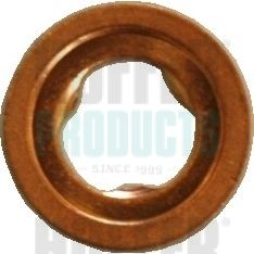Seal Ring, nozzle holder HOFFER 8029177