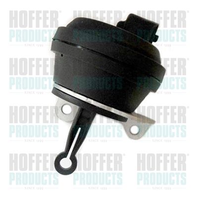 HOFFER 8029533 Valve, exhaust gas recirculation