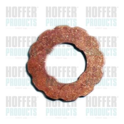 Seal Ring, nozzle holder HOFFER 8029598