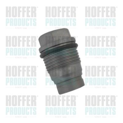 Pressure Relief Valve, common rail system HOFFER 8029701