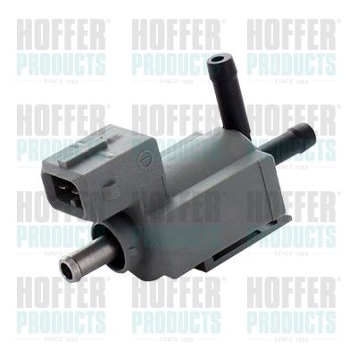 Control Valve, air intake HOFFER 8029770