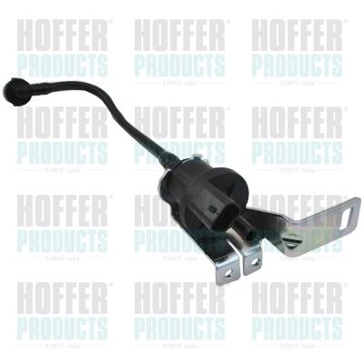 Breather Valve, fuel tank HOFFER 8029806