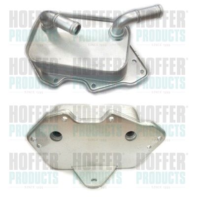 Oil Cooler, engine oil HOFFER 8095010