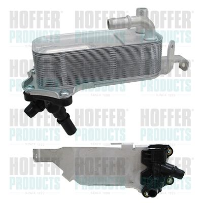 Oil Cooler, engine oil HOFFER 8095248