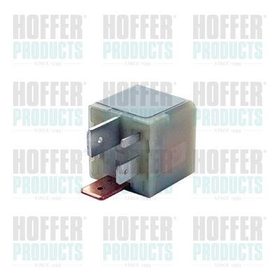 Control Unit, glow time HOFFER H7285679