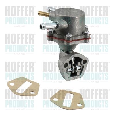 Fuel Pump HOFFER HPOC113