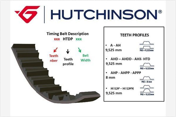 HUTCHINSON 054 A 19 Timing Belt