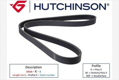 V-Ribbed Belt HUTCHINSON 1019 SK 6