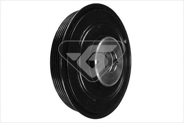 HUTCHINSON DP016 Belt Pulley, crankshaft