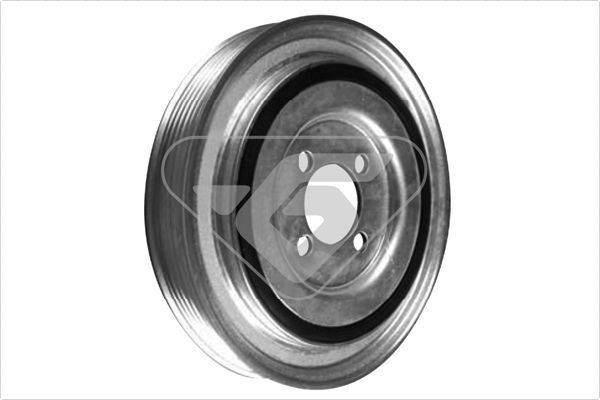 HUTCHINSON DP025 Belt Pulley, crankshaft