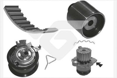 Water Pump & Timing Belt Kit HUTCHINSON KH 194WP57