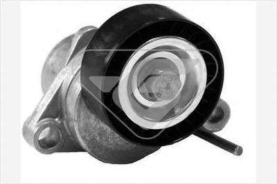 Tensioner Pulley, V-ribbed belt HUTCHINSON T0298