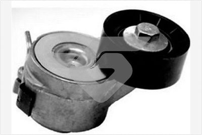 Tensioner Pulley, V-ribbed belt HUTCHINSON T0452