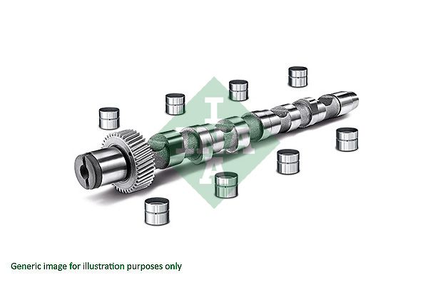 Schaeffler INA 428 0035 30 Camshaft Kit