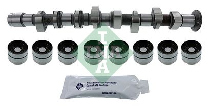 Camshaft Kit Schaeffler INA 428 0051 30