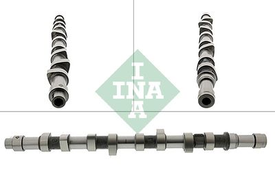 Camshaft Schaeffler INA 428 0109 10