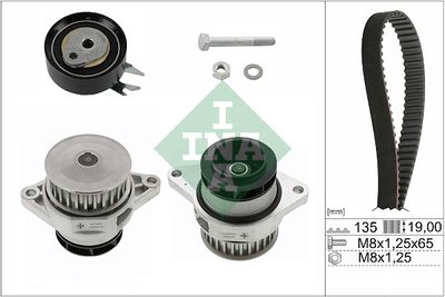 Water Pump & Timing Belt Kit Schaeffler INA 530 0166 30