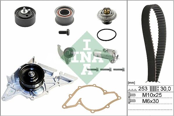 Schaeffler INA 530 0179 31 Water Pump & Timing Belt Kit