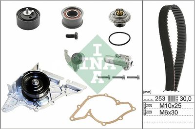 Water Pump & Timing Belt Kit Schaeffler INA 530 0179 31