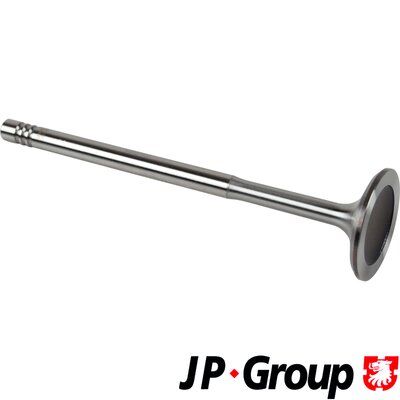 Intake Valve JP GROUP 1111301100