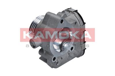 Throttle Body KAMOKA 112020