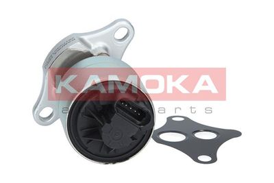 EGR Valve KAMOKA 19001