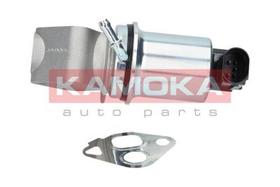 EGR Valve KAMOKA 19004