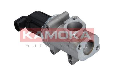 EGR Valve KAMOKA 19008