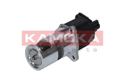 EGR Valve KAMOKA 19009